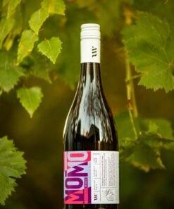 Syrah 2021 - Balhannah