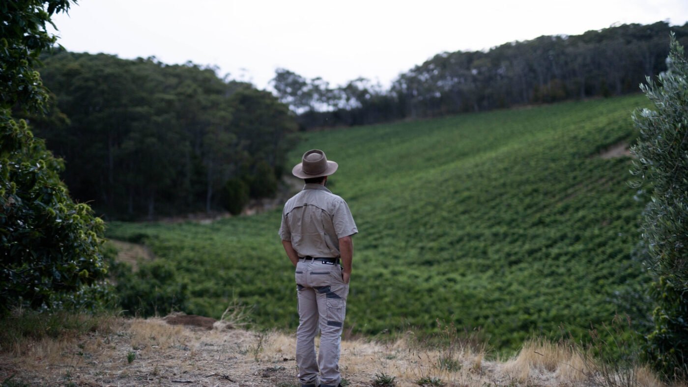Uraidla-Wines-Adelaide Hills Frank Gazing at Vinyard in Piccadilly Valley